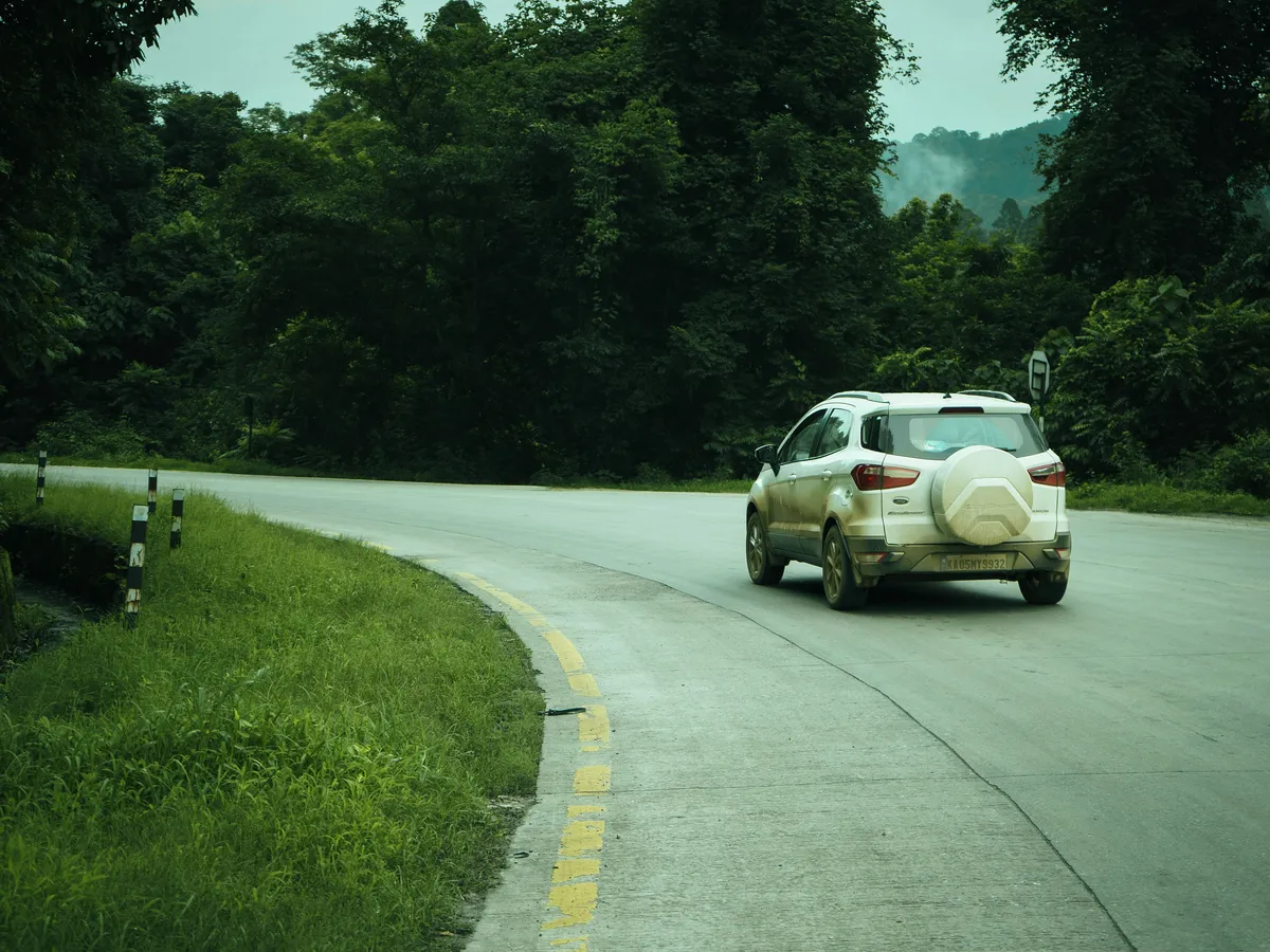 SUV driving on a road through a green forest
