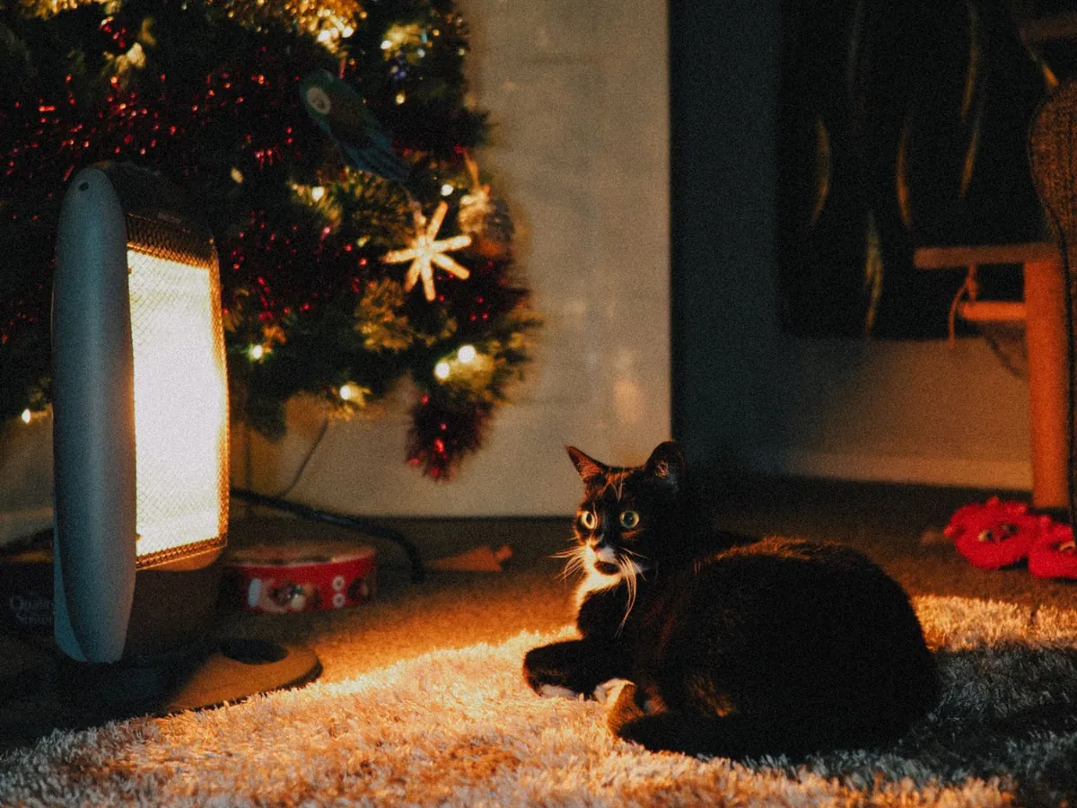 Portable electric heater glowing beside a Christmas tree as a cat warms up