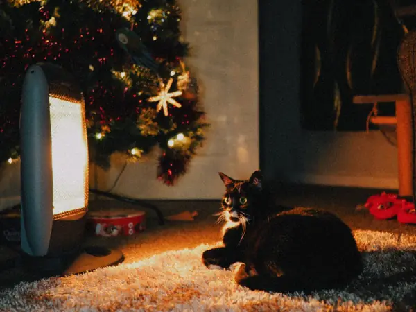 Portable electric heater glowing beside a Christmas tree as a cat warms up