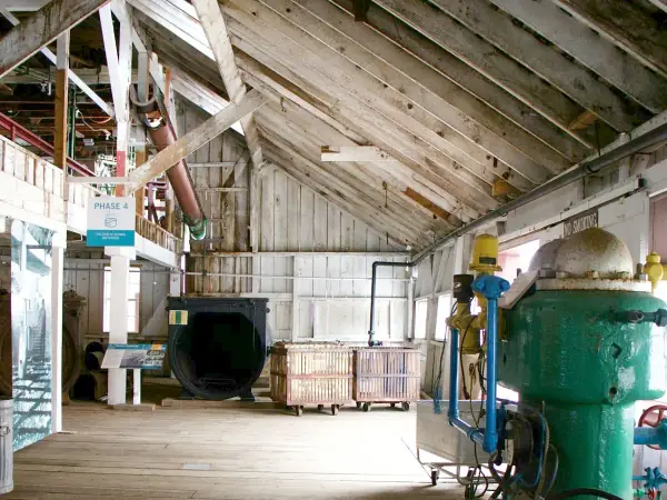 Green utility water pump in a basement machine room